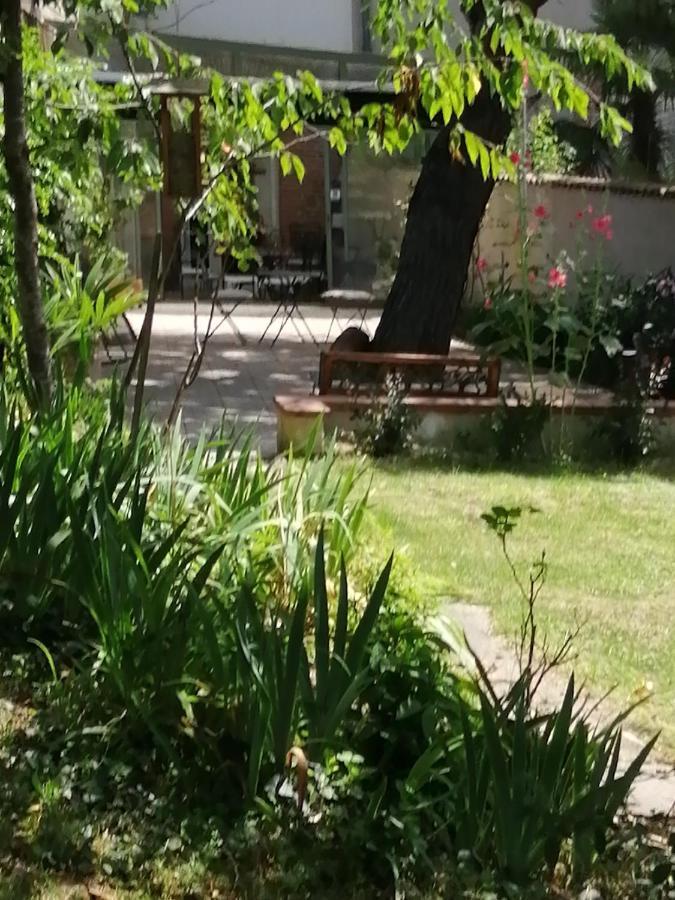 Chambre D'Hotes Pmr Hildegarde Moissac Luaran gambar